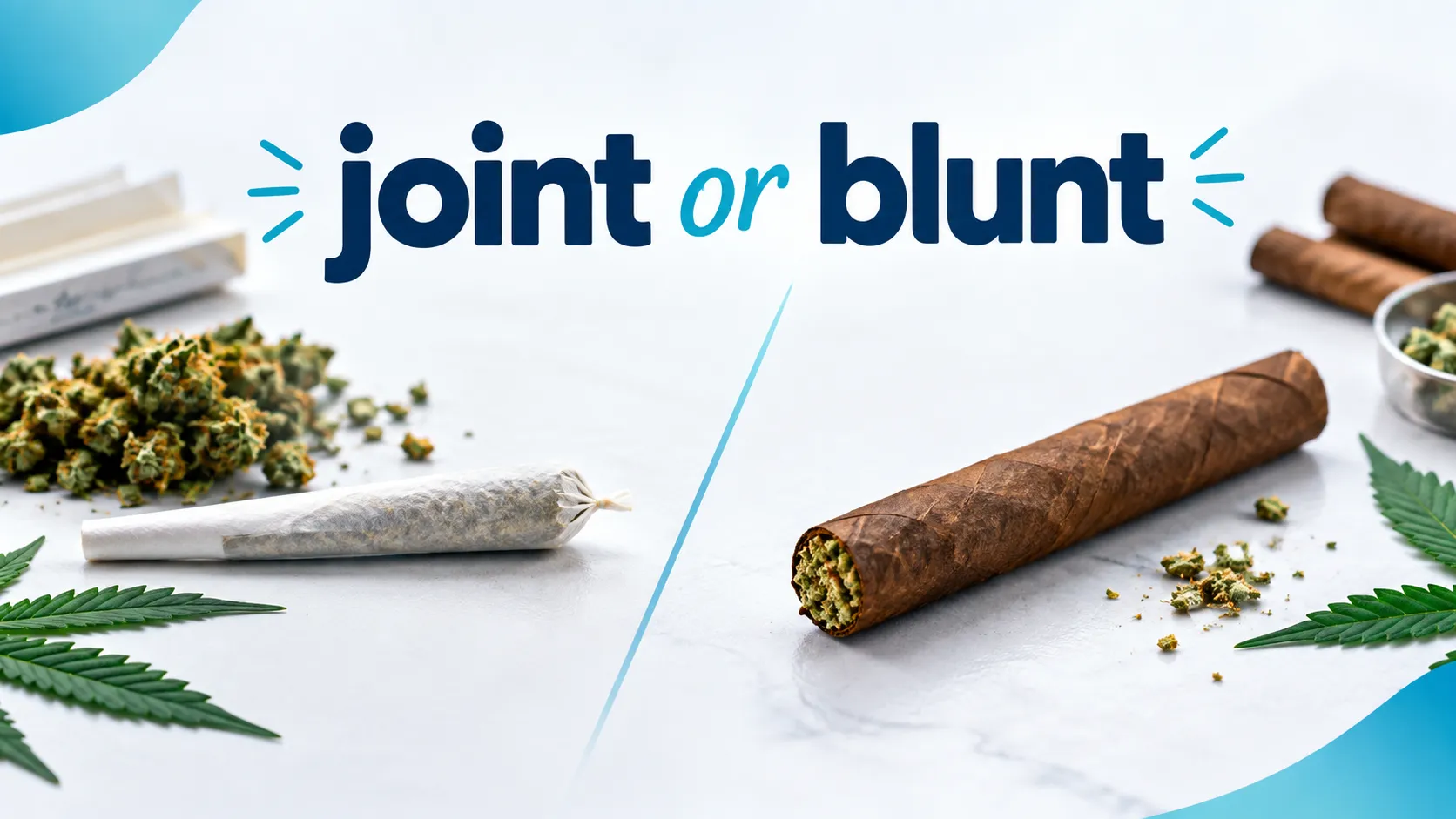 joint or blunt
